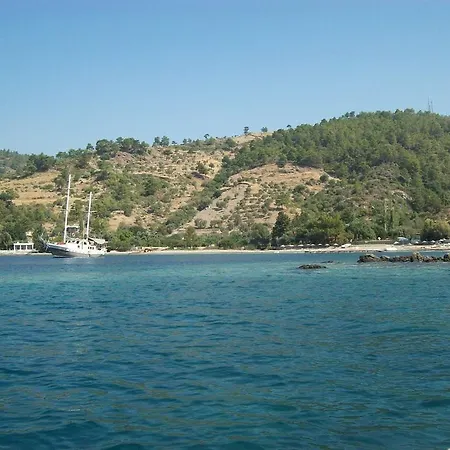 Yakamoz * Mazi
