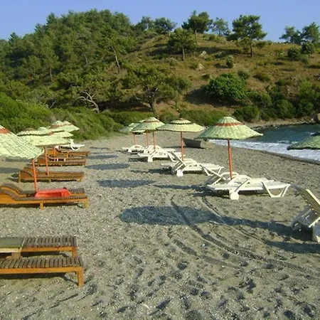 Yakamoz Mazi