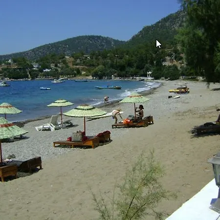 Yakamoz * Mazi