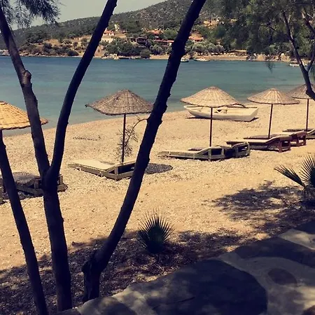 Yakamoz Mazi