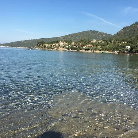 Yakamoz Mazi